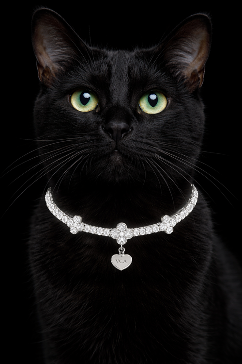 Clover CZ Tennis Necklace (Silver)